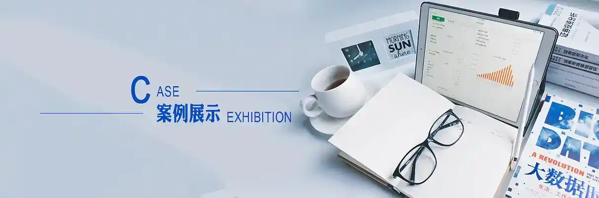 狮子山区软件开发